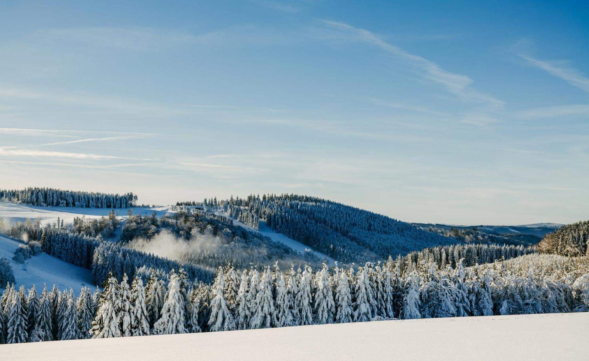 Romantik Berghotel Astenkrone Winterberg Eksteriør billede