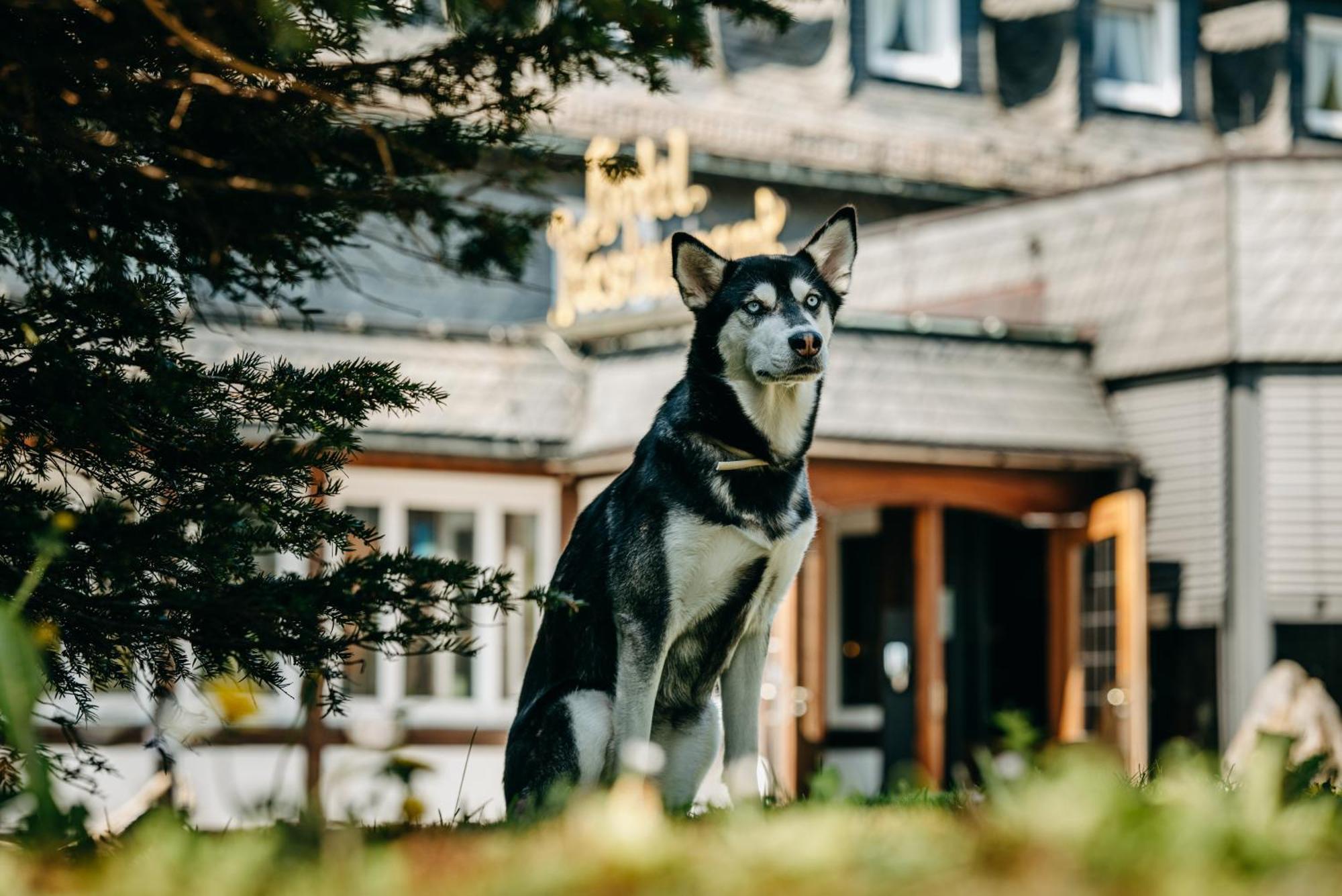 Romantik Berghotel Astenkrone Winterberg Eksteriør billede